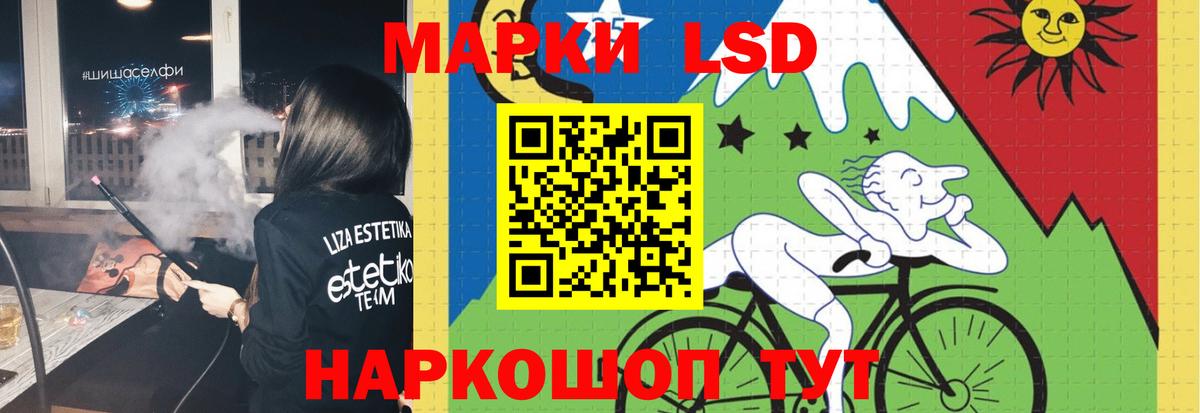 LSD-25 экстази  LSD-25 экстази кислота  Новозыбков  Вход с VPN  LSD-25 экстази кислота 