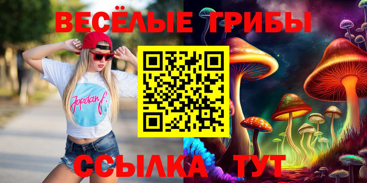 Новозыбков  Галлюциногенные грибы прущие грибы  Вход с VPN 